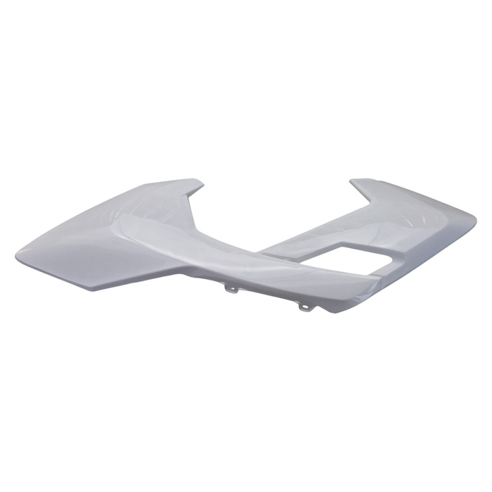 EGL EXP 110 left tank fairing + white number plate