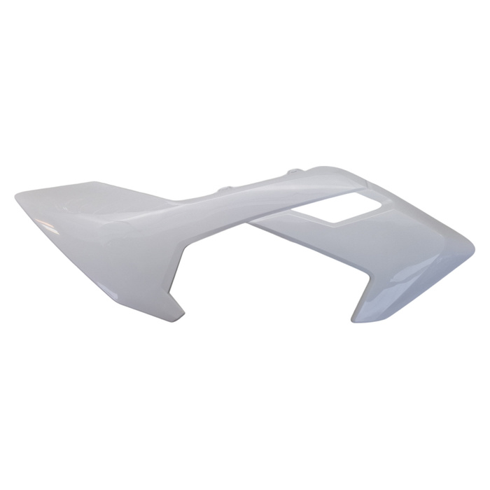 EGL EXP 110 right tank fairing + white number plate
