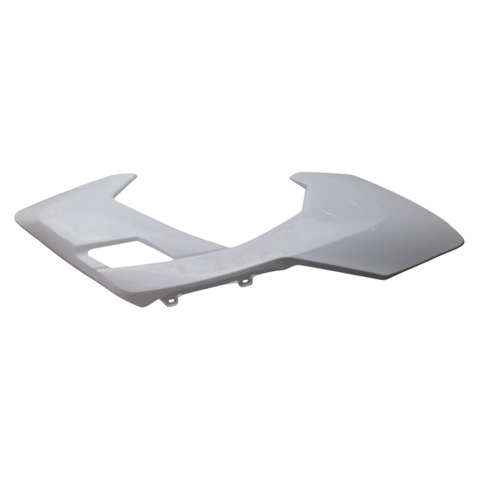 EGL EXP 150 right tank fairing + white number plate