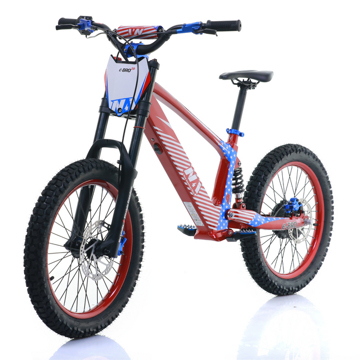 NAI e-BRO 20 Elektromotorrad Modell 2025