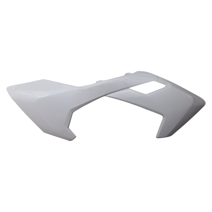 EGL EXP 150 right tank fairing + white number plate