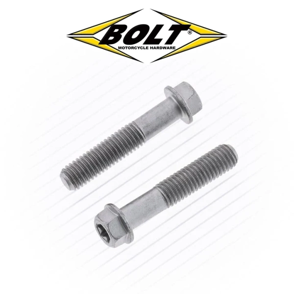 Torx M6 Euro Style Flange Screws 10MM 8X40MM