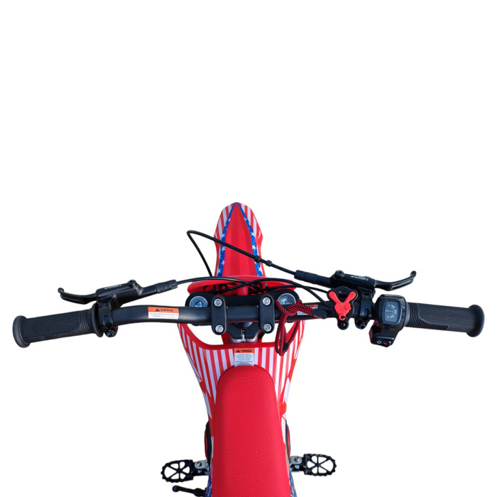 NAI e-MX 14 PRO children's motocross electric bike