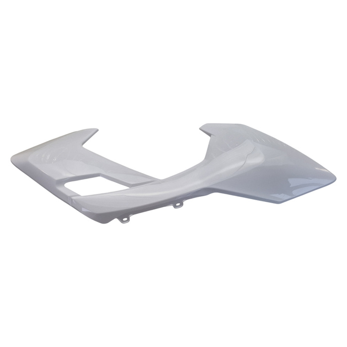 EGL EXP 110 right tank fairing + white number plate