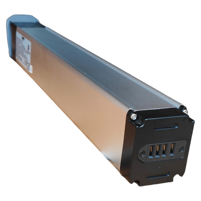 1. NAI battery e-BRO 20