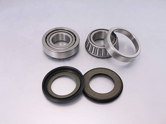 BEARING WORX Lenkkopflager Steuerkopflager passend für Gas Gas EC/MC 125/200/250/300 22-1056