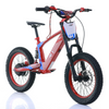 NAI e-BRO 18 electric motorcycle for kids model 2025