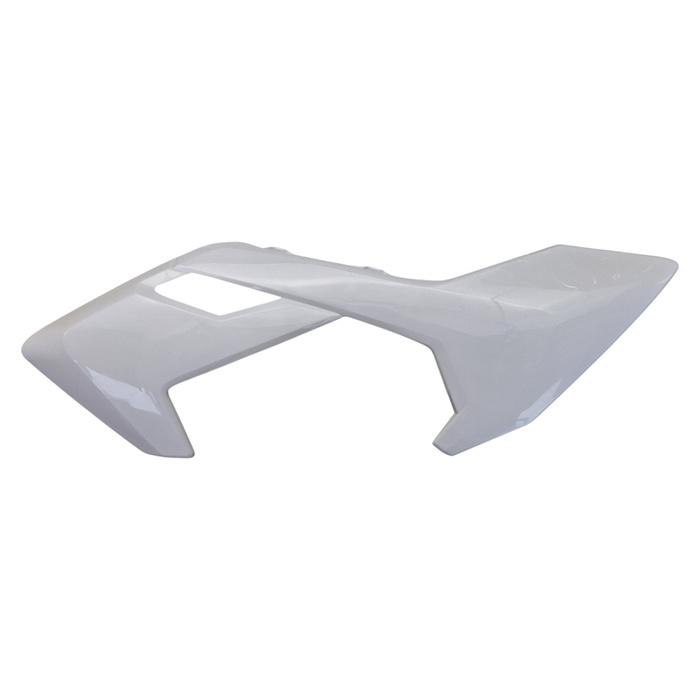 EGL EXP 110 left tank fairing + white number plate