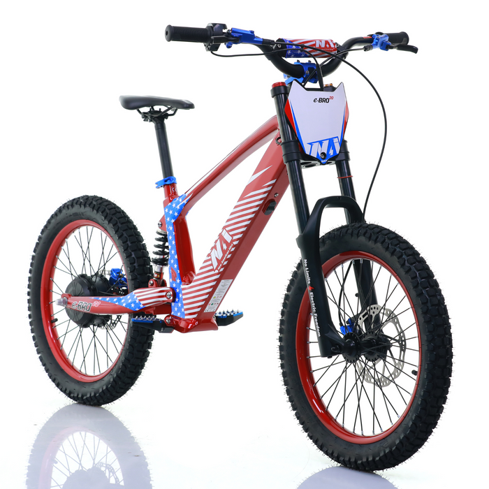 NAI e-BRO 20 Elektromotorrad Modell 2025