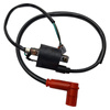 EGL EXP 110/150 ignition coil